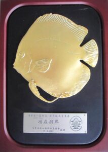 award 6