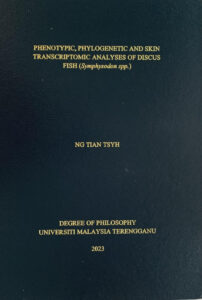 phd thesis